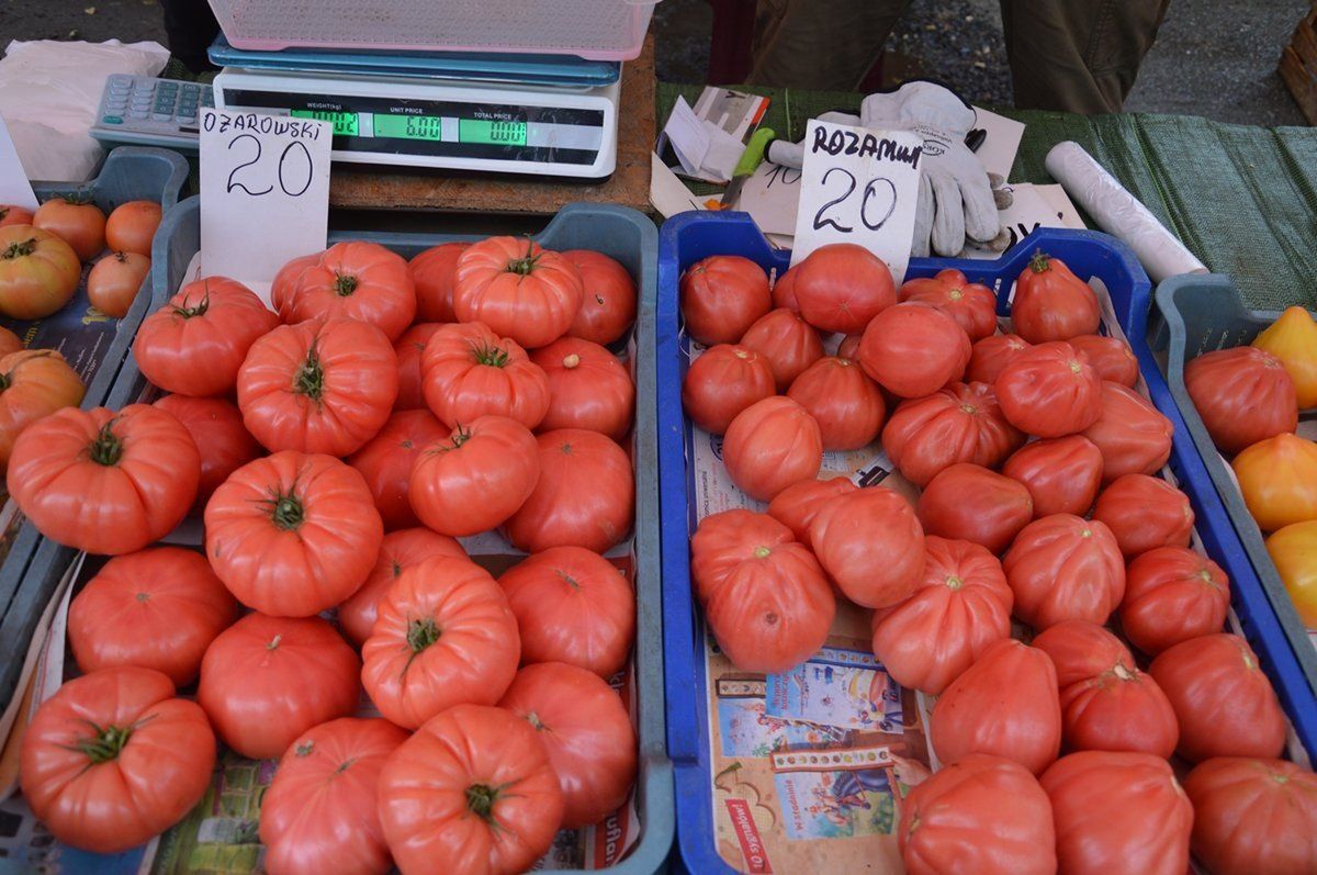 Rynek mleka, owoców i warzyw. UOKiK nie stwierdził nieuczciwych praktyk
