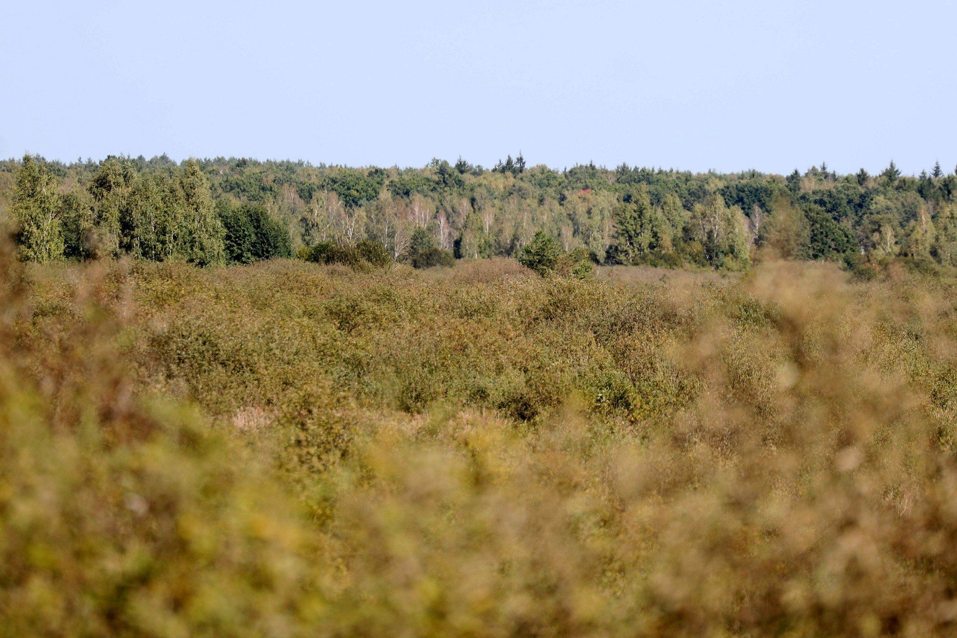 Jesienny spacer po Poleskim Parku Narodowym: historia, przyroda i chwile wyciszenia
