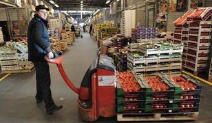 Nowalijki coraz tańsze. Tanieją także owoce