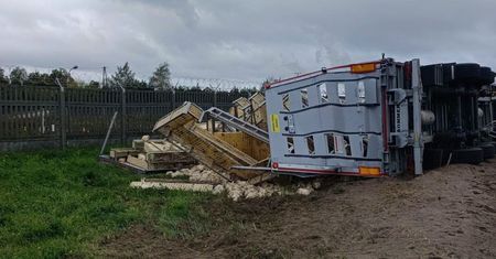 Trudna akcja służb. Ciężarówka z tysiącami kurczaków w rowie