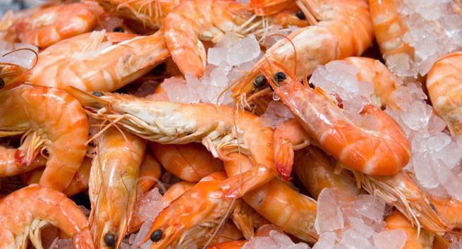 Owoce morza wartościowym źródłem białka, witamin z grupy B, jodu, wapnia, selenu i fluoru