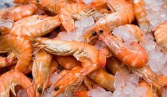 Owoce morza wartościowym źródłem białka, witamin z grupy B, jodu, wapnia, selenu i fluoru