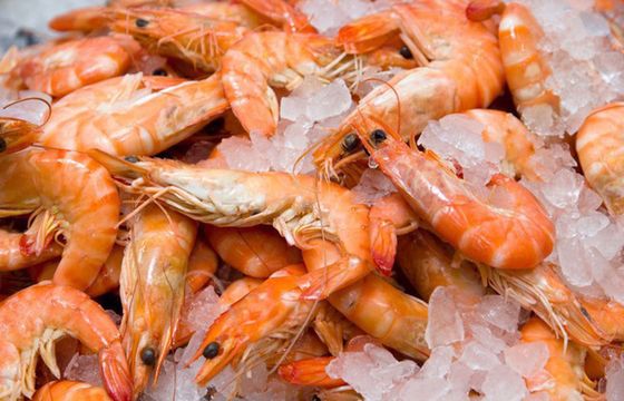 Owoce morza wartościowym źródłem białka, witamin z grupy B, jodu, wapnia, selenu i fluoru