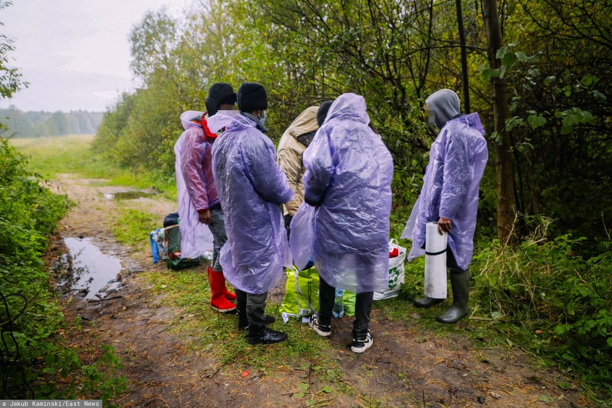 Grupa imigrantów na granicy polsko-białoruskiej 