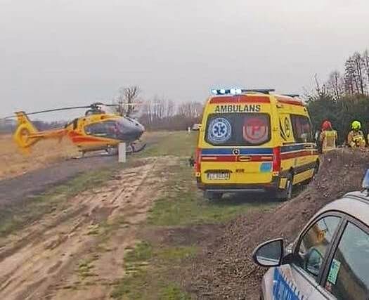 Nieszczęśliwy wypadek przy wycince drzew