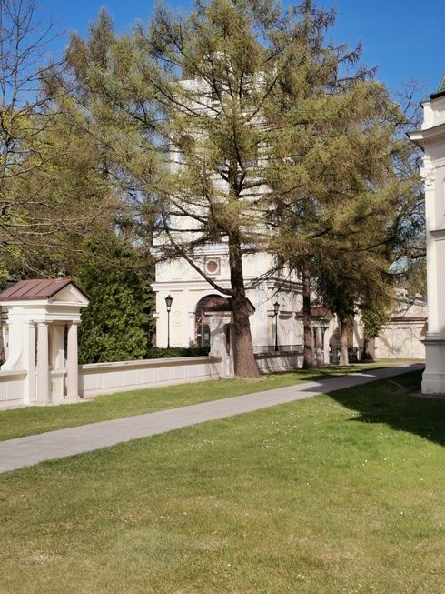Huawei P40 Lite szczegółowe zdjęcie zoom 2x