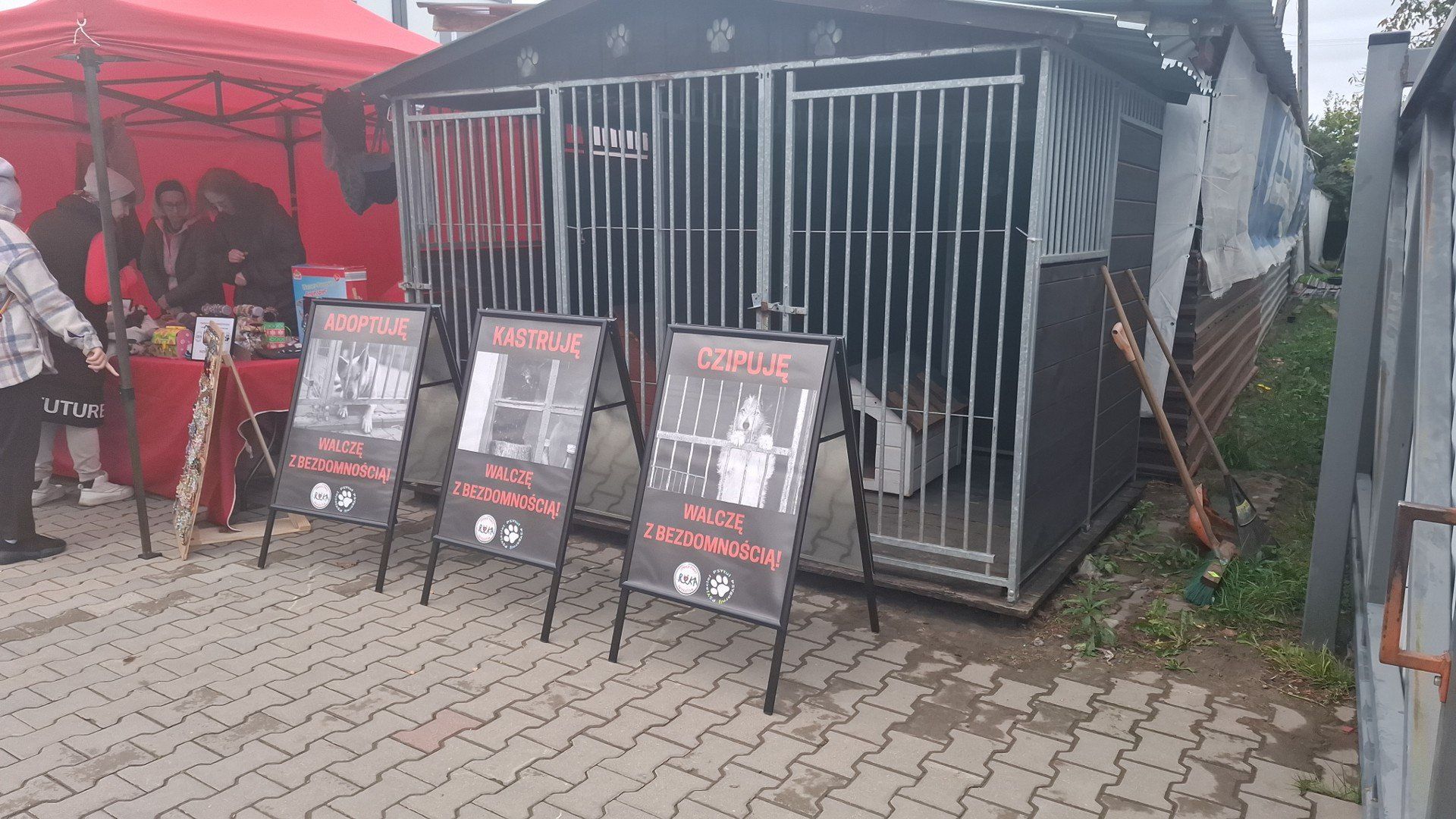 Kolejka bez końca! Bieg z Psyjacielem przyciągnął setki osób