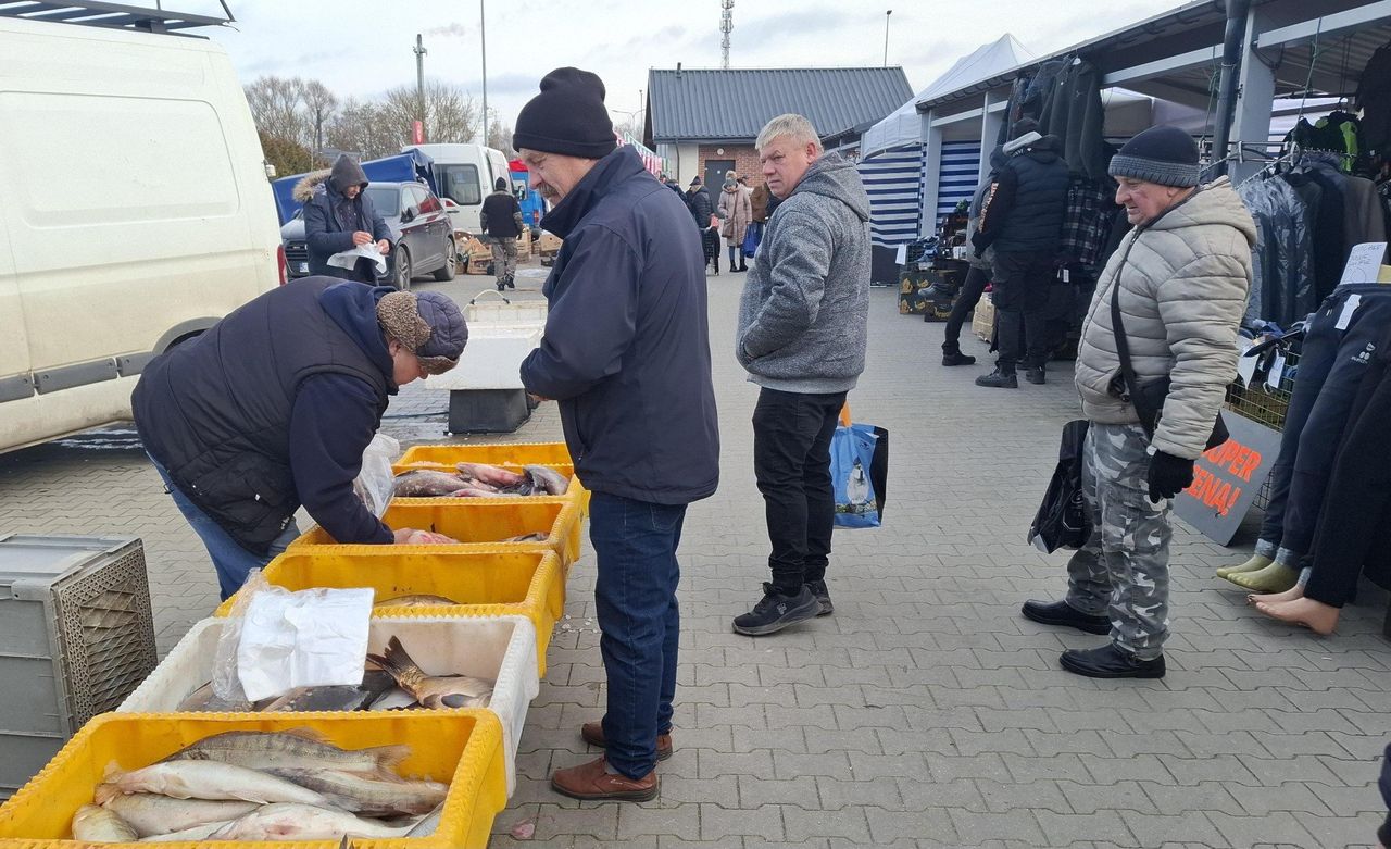 Kujawsko-pomorskie: Takie są teraz ceny karpia i innych ryb na święta. Tyle trzeba zapłacić za ryby na Boże Narodzenie 2025 na targowisku