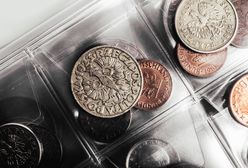 Polskie monety w cenie. Można zarobić na nich nawet na dom