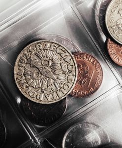 Polskie monety w cenie. Można zarobić na nich nawet na dom