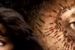 ''Atlas chmur'': Hugh Grant, Halle Berry i tatuaże Toma Hanksa na polskim plakacie [foto]