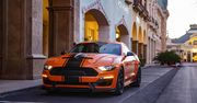 Shelby Super Snake debiutuje z pakietem Bold. Jest grubo