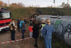 Nietypowa akcja w Rzeszowie. Służby szukają kota, który utknął w rurze ciepłowniczej