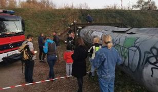 Nietypowa akcja w Rzeszowie. Służby szukają kota, który utknął w rurze ciepłowniczej