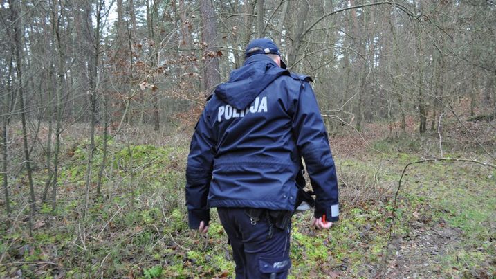 grzybobranie policja las