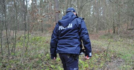 Coraz większy problem na grzybach. Policja ostrzega