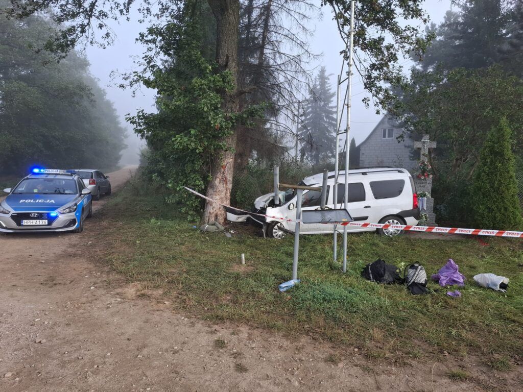 Policyjny radiowóz z włączonymi sygnałami na drodze obok uszkodzonego samochodu, który wjechał w drzewo. W tle mglista sceneria.