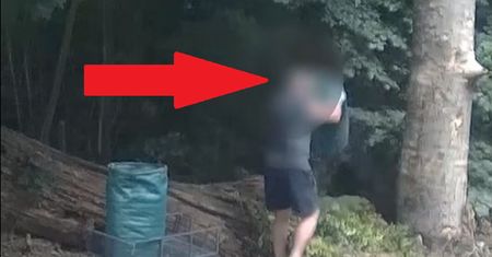 Działkowiec przyłapany w lesie. Wiele osób nie rozumie problemu