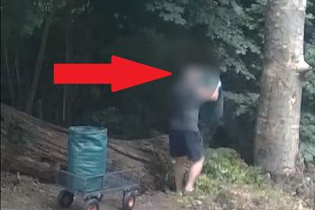 Przyłapali go w lesie. Wszystko się nagrało
