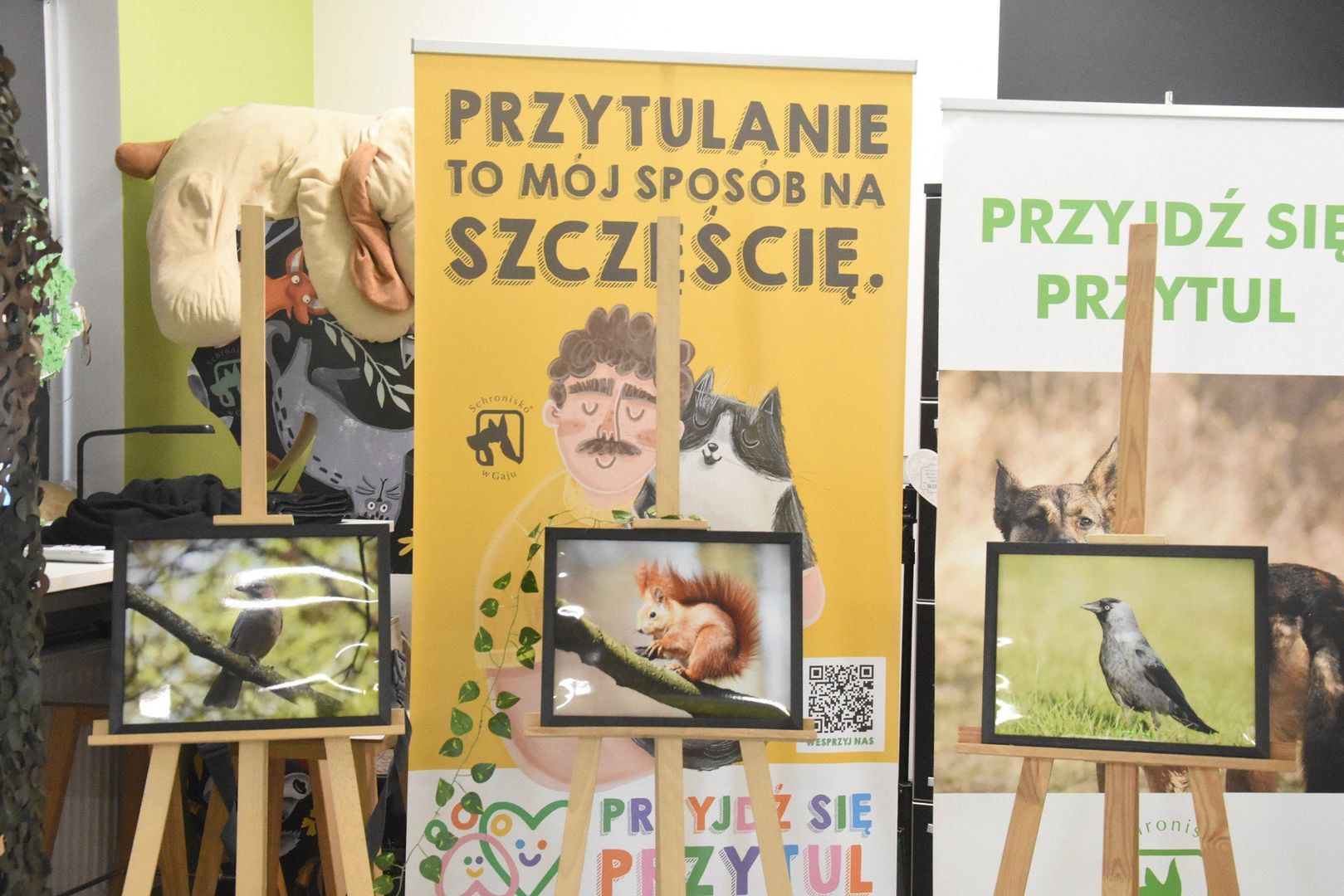 08.06.2025 X Spacer Gajowy Fot. Tomasz Barylski / Polska Press