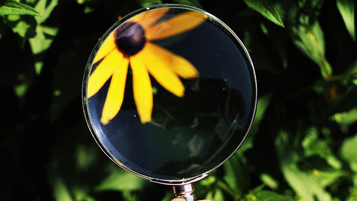 Krzyżówka z wiedzy ogólnej