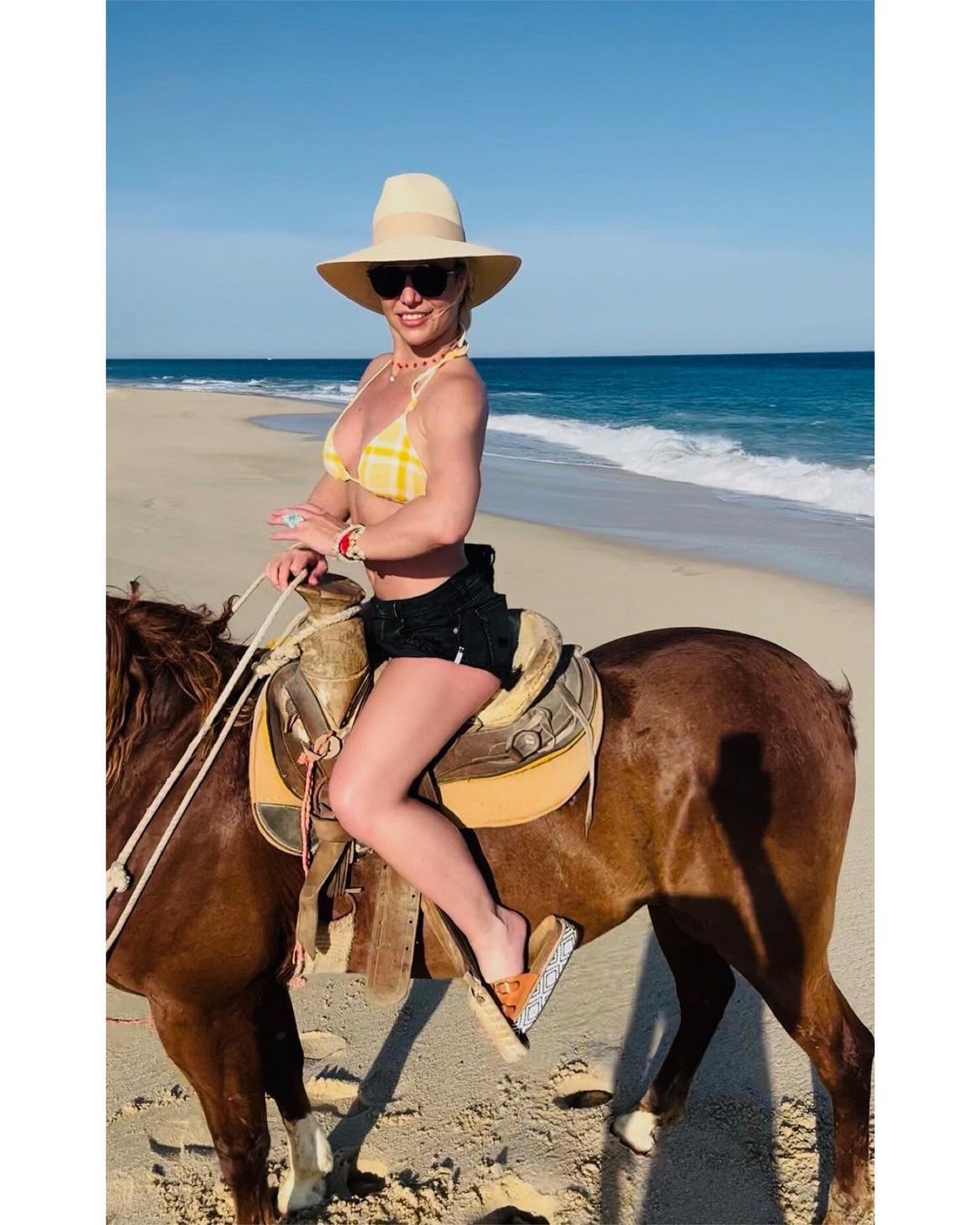 Britney Spears zapowiada, że kupi konia