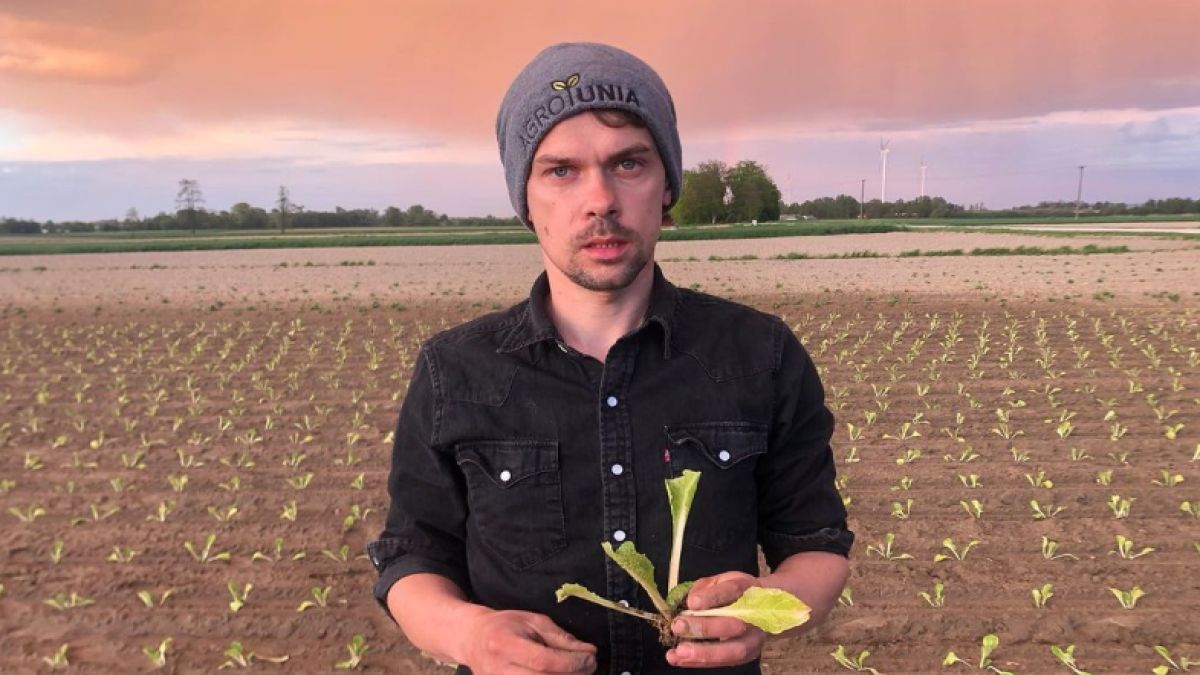 Majątek Michała Kolodziejczaka