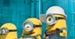 "Minionki" w podróży. Cykl imprez