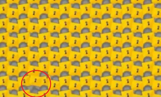 Jedna z kłódek nie pasuje do reszty