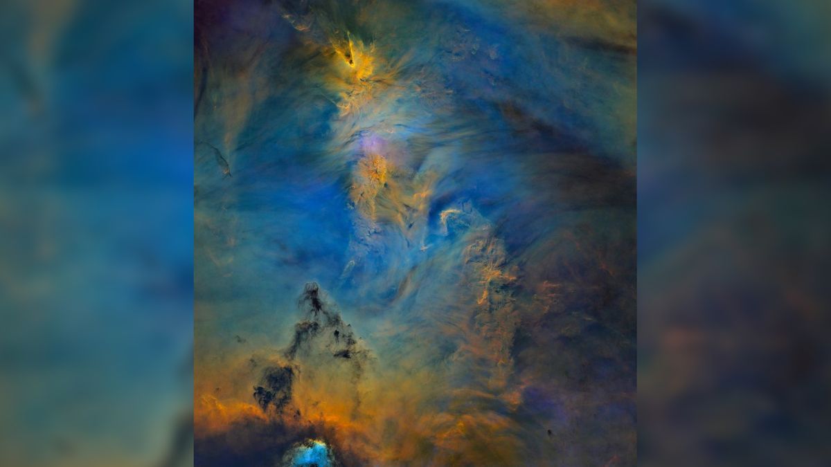 Mgławica NGC 2264.