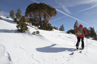 Włochy. Przedsiębiorcy domagają się podania daty otwarcia stoków