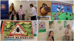 Włocławek: Podsumowanie konkursu "Mały kleszcz" w Sanepidzie