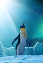 ''Happy Feet 2'': relacja z polskiej przedpremiery [wideo]