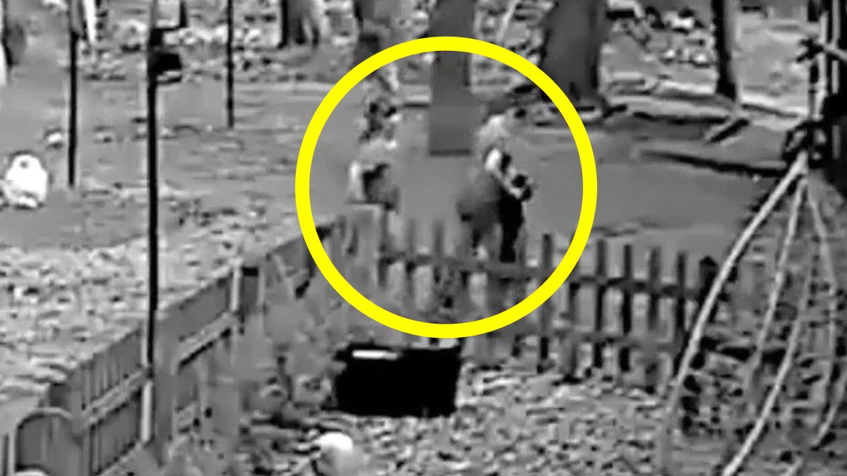 Dzieci pastwiły się nad szczeniakiem na oczach matki.