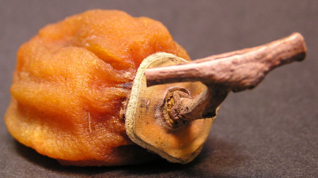 Suszona persymona japońska