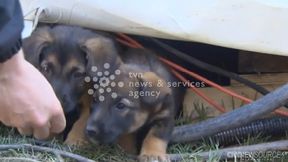 Gus Kenworthy zabierze do domu nie tylko medal