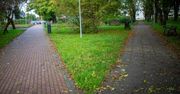 Słupsk: Park im. Ireny Sendlerowej nabiera nowych kształtów