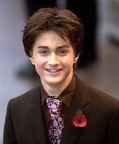 Towarzysz Harry Potter