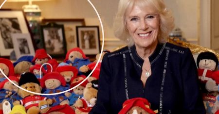 Camilla na oficjalnym zdjęciu. A w tle? Internauci szybko rozszyfrowali, co przedstawiają rozmazane fotografie