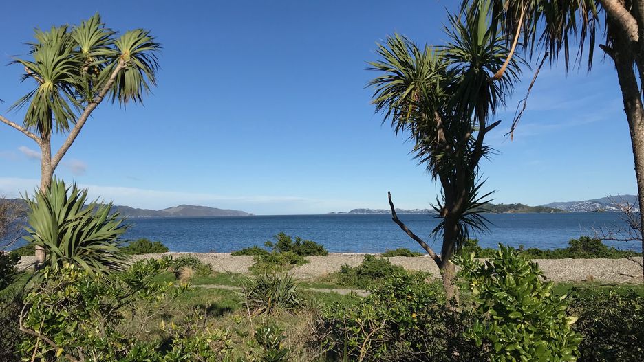 Petone Beach w Wellington 