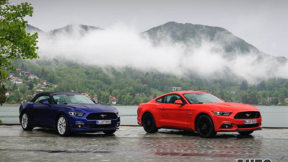 Zdjęcie ilustracyjne do artykułu