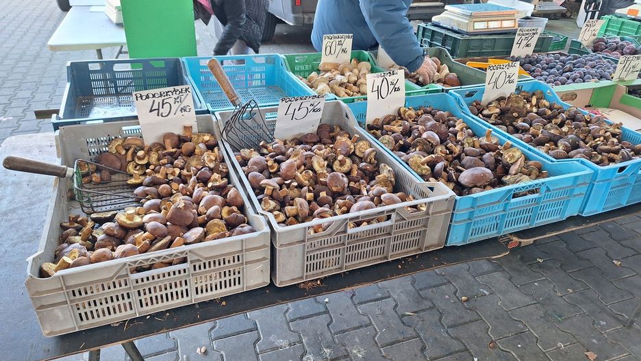 Grzyby na rynkach nie powalają swą jakością, ceny w tej sytuacji tez nie są najwyższe. Mimo to kupujących jest niewielu.