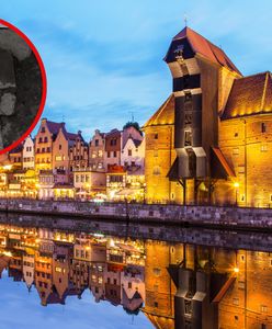 Sensacyjne odkrycie w Gdańsku. Rycerz z XIII wieku odnaleziony pod dawną lodziarnią "Miś"