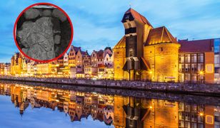 Sensacyjne odkrycie w Gdańsku. Rycerz z XIII wieku odnaleziony pod dawną lodziarnią "Miś"