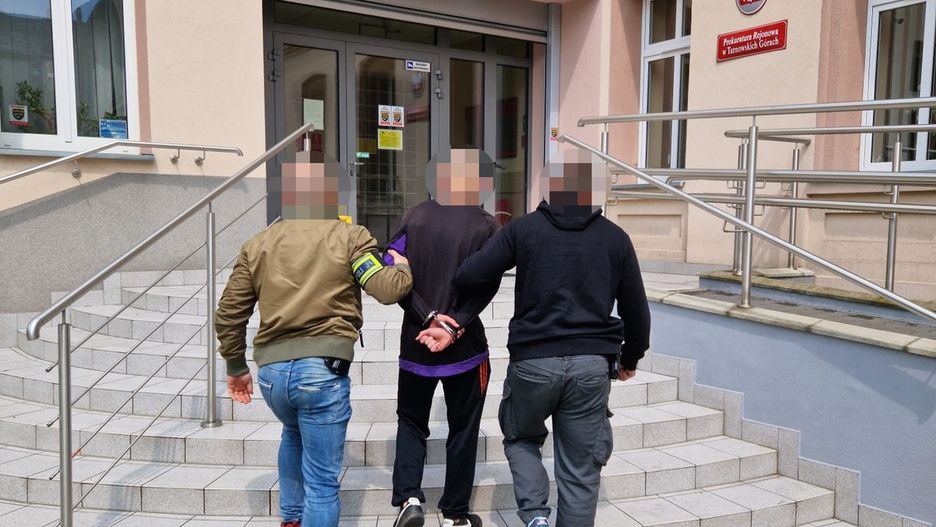 Fot. Licencjodawca