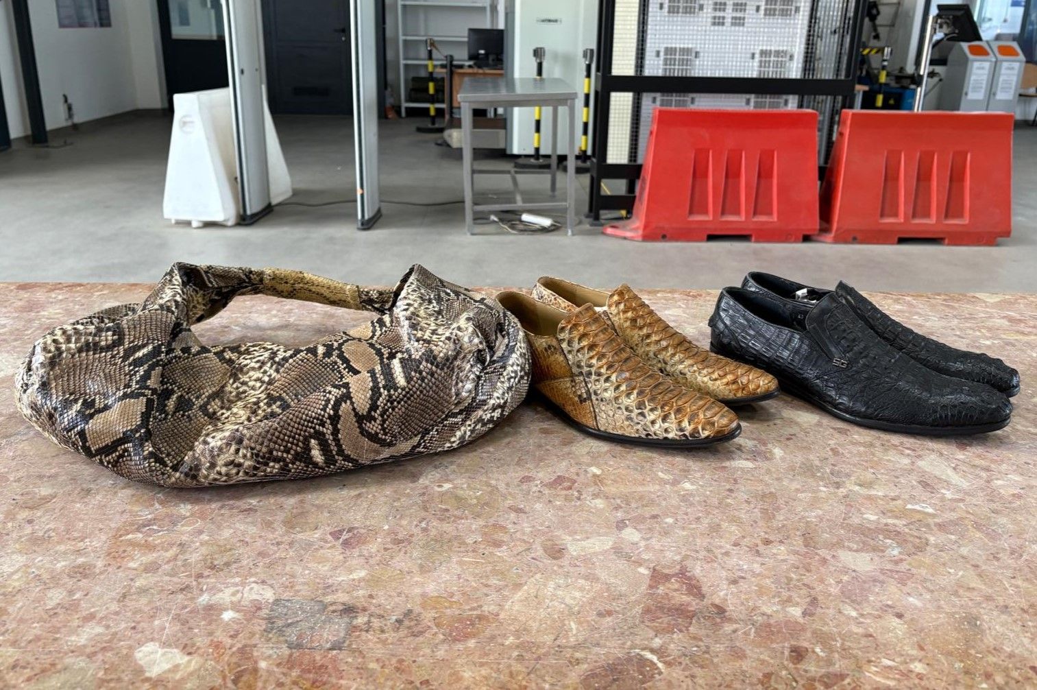 Nielegalne wyroby ze skóry pytona i krokodyla