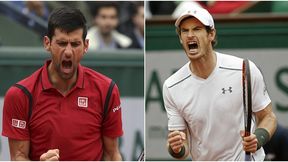Puchar Davisa: nie będzie pojedynku Djokovicia z Murrayem. Berdych nie pomoże rodakom