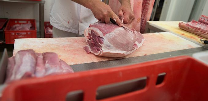 Polskie mięso w Lidlu jest bezpieczne. Producenci z Polski zapewniają, że ich mięso jest wolne od wirusa ASF