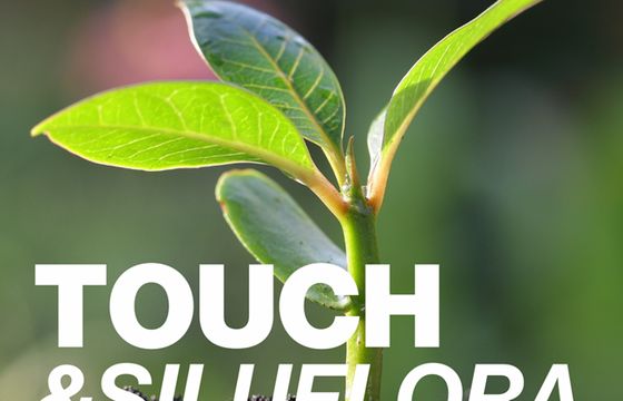 Touch.PR poprowadzi komunikację marki Siluflora