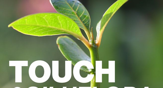Touch.PR poprowadzi komunikację marki Siluflora